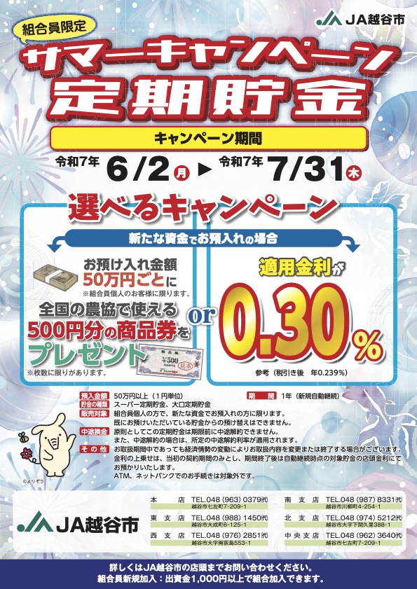 チラシ
