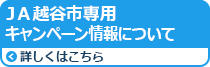 キャンペーン情報